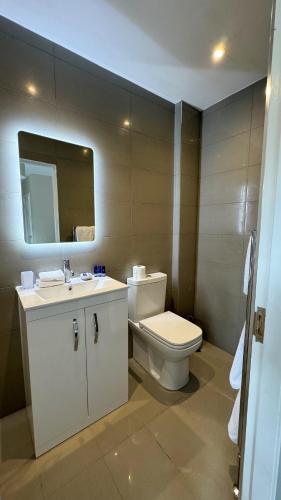 a bathroom with a toilet and a sink and a mirror at 19 Snowdon Apartment in Stirling