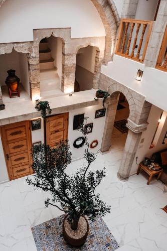 a house with a potted tree in the middle of a room at Riad Al Manara in Essaouira
