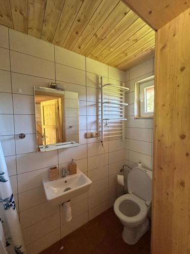 a bathroom with a toilet and a sink and a mirror at Lyžařská chata in Kubova Huť