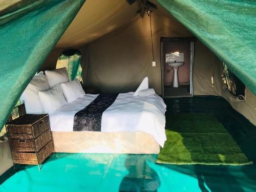 Katil atau katil-katil dalam bilik di Hippo Paradise Lodge and Campsites