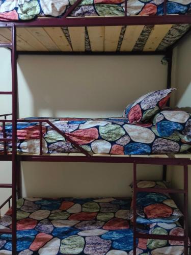 Ένα ή περισσότερα κρεβάτια σε δωμάτιο στο Alexandria Hostel هوستل الاسكندرية
