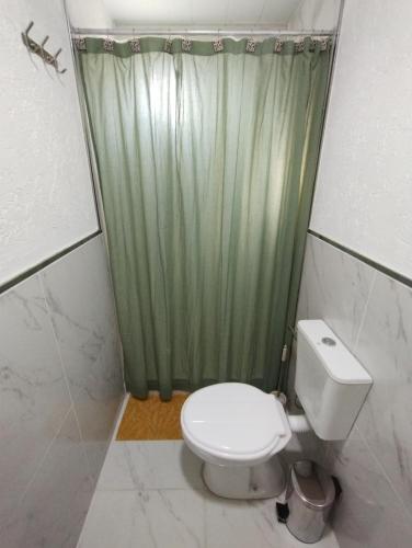 a bathroom with a toilet and a green shower curtain at Nuna Tiny House in El Chalten