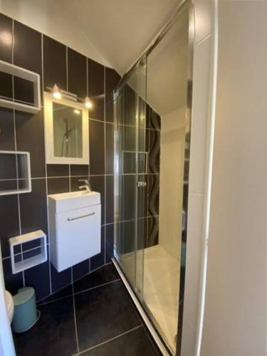 une salle de bain avec douche et lavabo dans l'établissement Superbe studio avec terrasse - Cathédrale, à Nantes