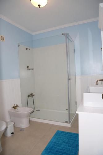 a bathroom with a shower and a toilet and a sink at Casa Do Atlântico in Rosário-Lagoa