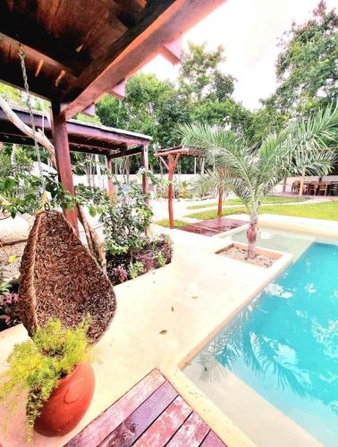 Kolam renang di atau dekat dengan Aylove House