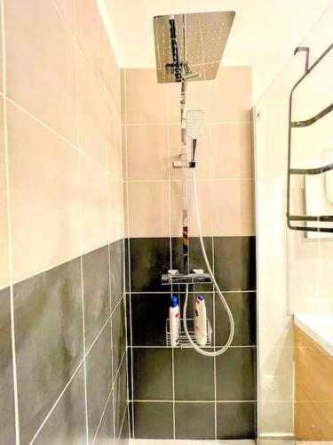 La salle de bains est pourvue d'une douche et de 2 produits d'entretien. dans l'établissement Studio cosy - 2 pers - Béziers - Centre - Terrasse - Clim, à Béziers