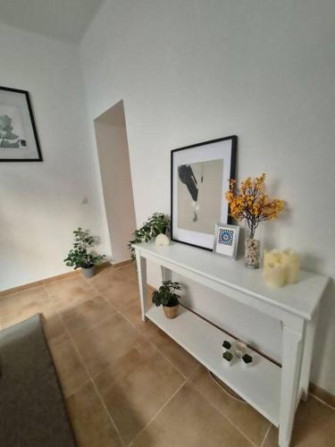 Hostfy Centro, San Román