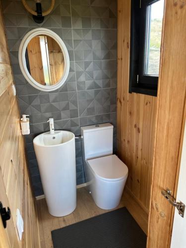 Koupelna v ubytování Cabană Vinkiș