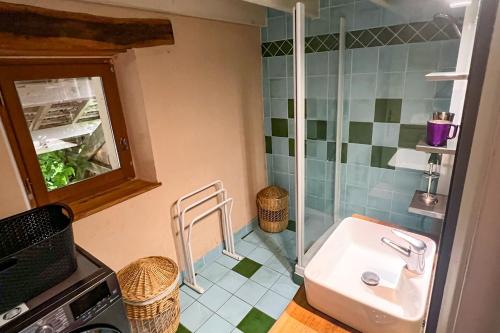 Un baño con lavabo y ducha de cristal. en La Gourmandise d'Huguette, en Beynac-et-Cazenac