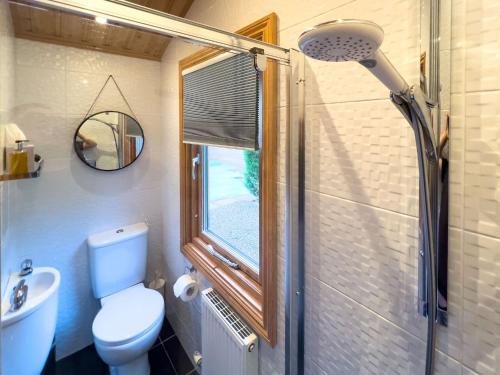 a bathroom with a shower and a toilet and a sink at Sky Lodge Great Ayton Yorkshire in Great Ayton