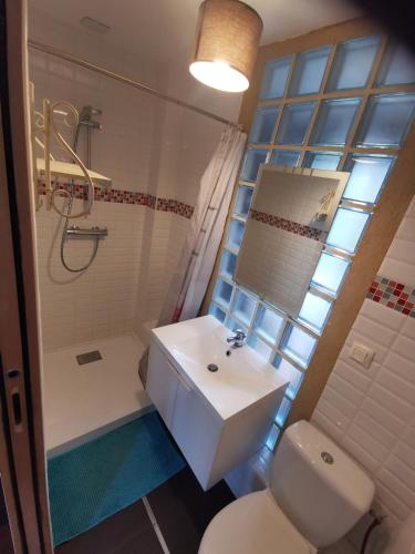 une salle de bain avec un lavabo, des toilettes et une douche dans l'établissement STUDIO Beaulieu, à Cesson-Sévigné