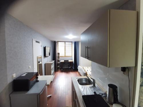 une cuisine avec un évier et un salon dans l'établissement STUDIO Beaulieu, à Cesson-Sévigné