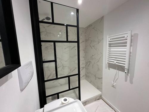 une salle de bain avec toilettes et douche en verre dans l'établissement Libergier- Maisonnette cathédrale, à Reims