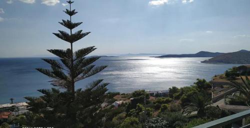 Vintage house by the sea in althea