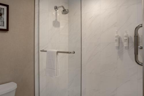 a bathroom with a shower with a glass door at Hampton Inn By Hilton Winnipeg Downtown in Winnipeg