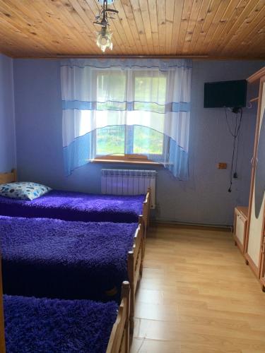 Gallery image of Аура Карпат in Slavske