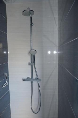 une douche avec pommeau de douche dans une salle de bain dans l'établissement Maison Spacieuse Climatisée avec Jardin 2 PKG et Piscine, à Aucamville