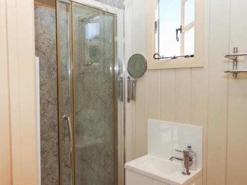 a bathroom with a shower and a sink at Shepherds Joy in Crediton