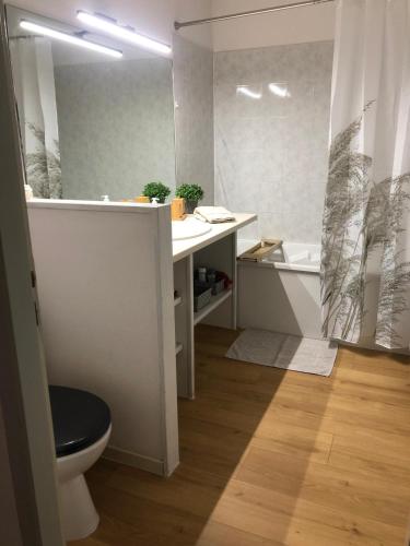 une salle de bain avec toilettes, lavabo et baignoire dans l'établissement Appartement BELLO , ruelle au cœur de ville, arrivée en autonomie, à Lons-le-Saunier