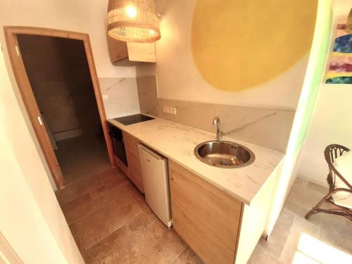 une petite cuisine avec un évier et un comptoir dans l'établissement Maison d'artiste, à Saint-Quentin-de-Baron
