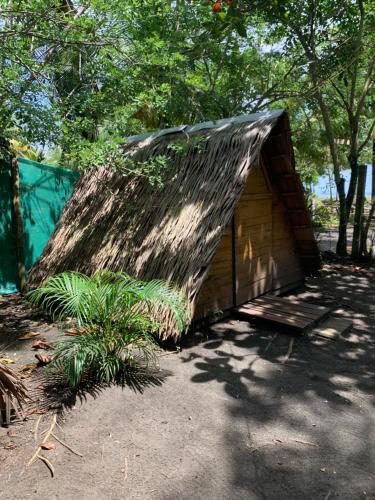 a small shed with a thatched roof in a yard at Camping Babsita-TIPI und Hütten und Stellplätze für Zelt und Camper direkt am Meer und See in Tuba Creek