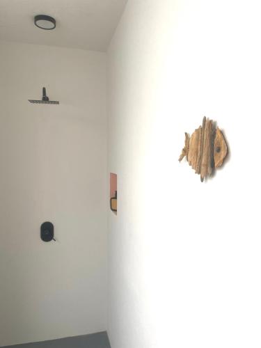 a butterfly on the wall of a white wall at Kasa Koh in Brisas de Zicatela