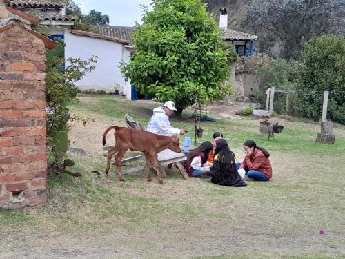 Tetamu yang menginap di Posada El Molino de San Luis