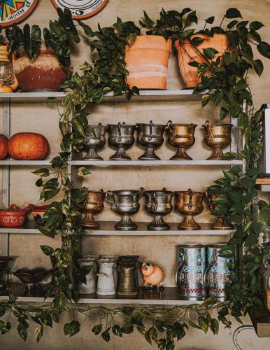 a shelf filled with lots of pots and potted plants at Casa Conicarit in Puerto Escondido