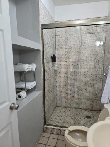 a bathroom with a shower with a toilet at HOTEL BOUTIQUE EL VIEJO MUNDO in Hidalgo del Parral