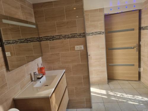 a bathroom with a sink and a shower at La Villa Marcelle in Bucquoy