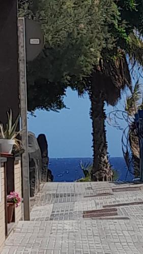 a tree on the side of a brick walkway at Los Abrigos 2 apartments Guest House Ocean relax, wifi, playas in Los Abrigos