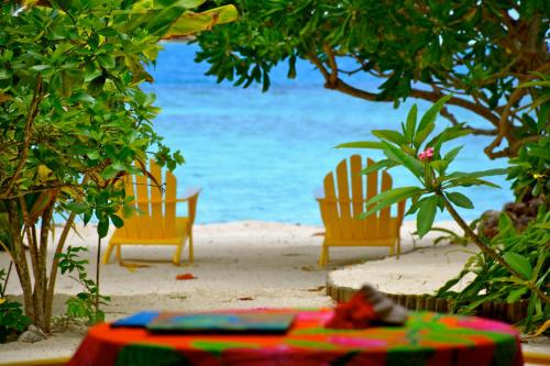 Gallery image of Te Ora Hau Ecolodge in Afareaitu