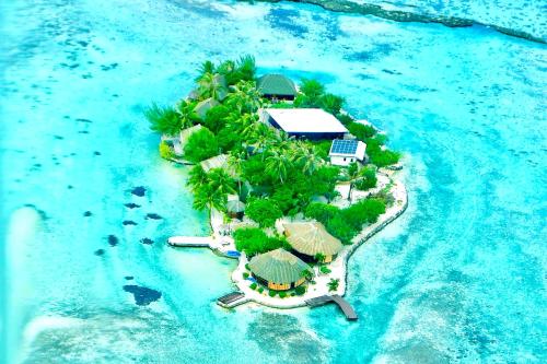 PatioEDEN Private Island TAHAA的水中拥有度假胜地的岛屿