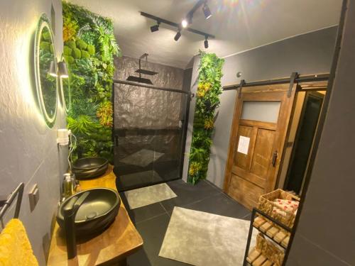 a bathroom with a shower with plants on the wall at İncirci Stone House, Sazlı Köyü in Ayvacık