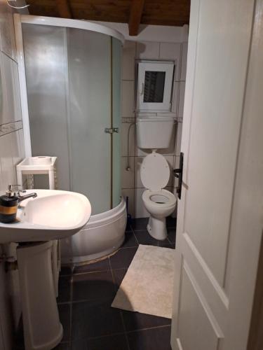 a bathroom with a toilet and a sink and a shower at Smestaj Novakovic ,Zdrelo in Ždrelo
