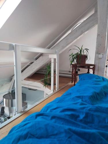 Studio sous les toits et mezzanine - Vincennes