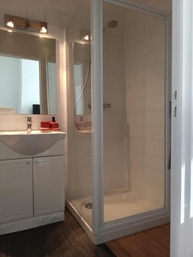 une salle de bain blanche avec une douche et un lavabo dans l'établissement Appartement sur la route touristique du champagne, à Sézanne