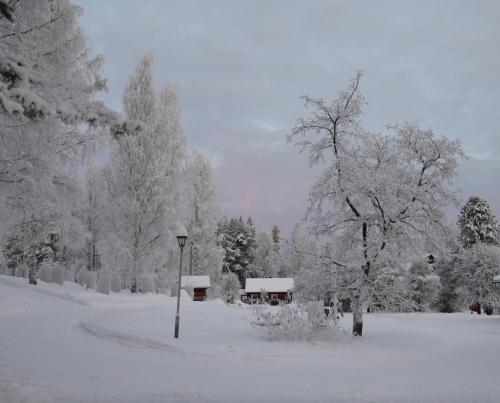 a snow covered park with trees and a building at TAHKOn Riihiranta - 4 bedroom villa by the lake - Tasokas tilava rantamökki in Tahkovuori