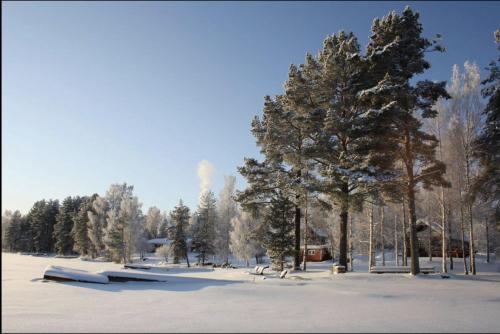 a snow covered field with trees and a house at TAHKOn Riihiranta - 4 bedroom villa by the lake - Tasokas tilava rantamökki in Tahkovuori