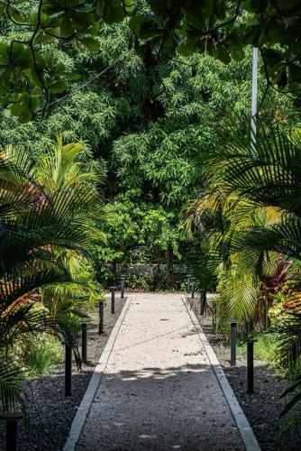 a path in a park with trees and plants at Modern Villas in Tropical Community by Tamarindo in Villarreal