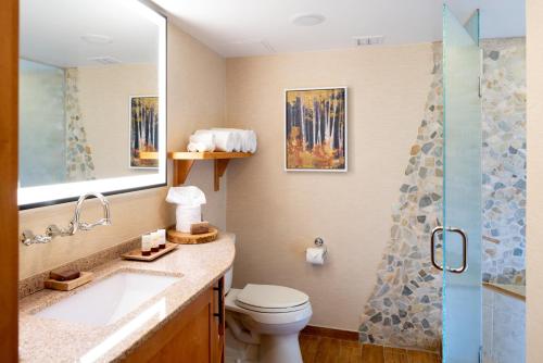 a bathroom with a toilet and a sink and a shower at High Peaks Resort in Lake Placid