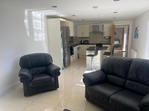 a living room with a couch and a kitchen at Chestnut Lodge Ballindrum R14YW02 in Athy
