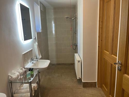 a bathroom with a sink and a shower at Chestnut Lodge Ballindrum R14YW02 in Athy