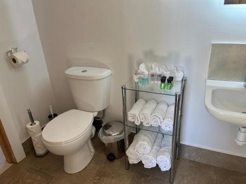 a bathroom with a toilet and a sink at Chestnut Lodge Ballindrum R14YW02 in Athy