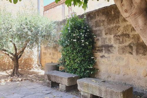 two stone benches next to a wall with a bush at Maison de Village en Camargue Parking Clim Wifi - ROSSIconciergerie - Linge inclus in Saint-Laurent-dʼAigouze