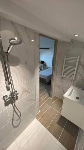 une salle de bain avec douche et lavabo dans l'établissement ZE Luxurious House Paris - Suite de luxe, à Argenteuil