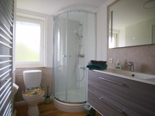 a bathroom with a shower and a toilet and a sink at Classy apartment in Bad Sachsa in Bad Sachsa