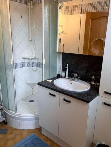 une salle de bain avec un lavabo et une douche dans l'établissement unobstructed beachfront view apartment, à Bray-Dunes