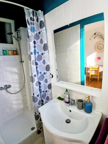 une salle de bain avec un lavabo, une douche et un miroir dans l'établissement Comme un petit studio - totalement indépendant - entrée autonome, à Prades