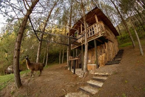 Un paisaje natural cerca del camping